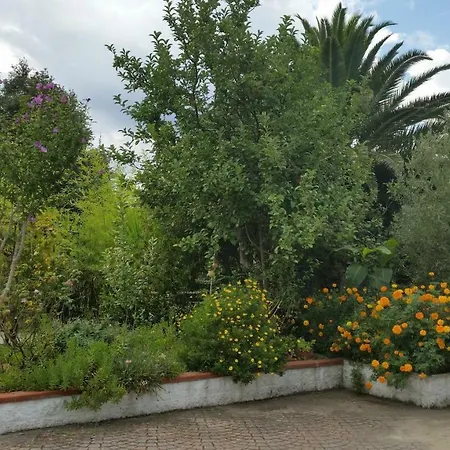 Criage Pila (Livorno)