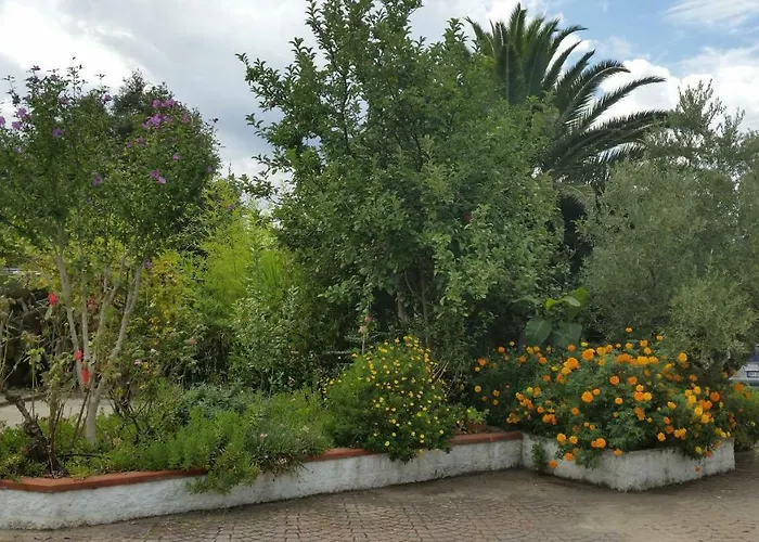 Criage Pila (Livorno)